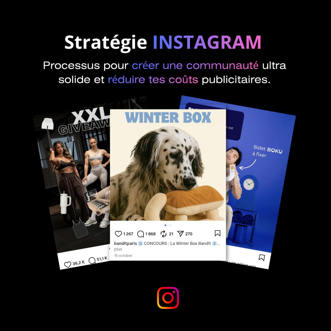 Instagram Sales System™